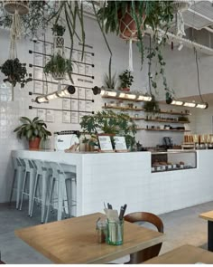 the interior of a restaurant with plants hanging from the ceiling and tables in front of it