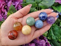 a person's hand holding five different colored stones in front of purple and green flowers