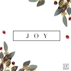 the word joy surrounded by leaves and berries on a white background with red berries around it