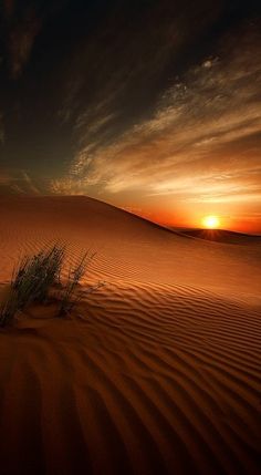 the sun is setting in the distance behind a sand dune with grass growing out of it