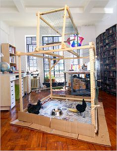 an open cardboard box on the floor with birds in it and shelves full of books