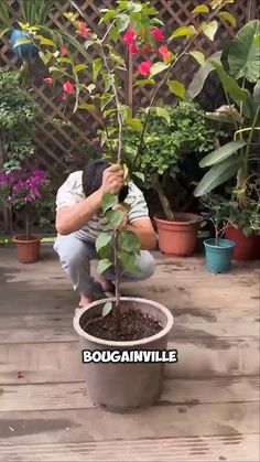 a man kneeling down next to a potted plant