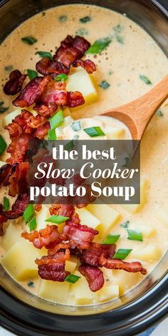 the best slow cooker potato soup with bacon and parmesan cheese in it