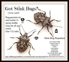 two bugs are shown with information about the bug repellent and how to use them