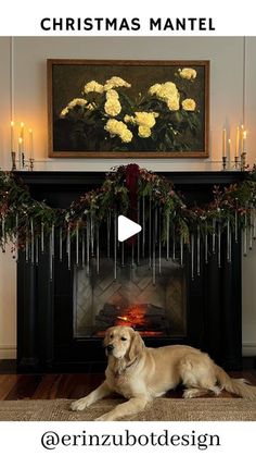 a dog laying on the floor in front of a christmas mantel with candles and flowers