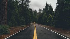 an empty road in the middle of a forest with trees on both sides and a sign that says yes