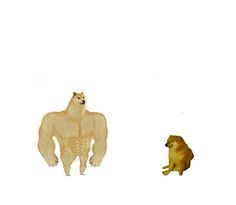 a dog and a bear sitting next to each other on a white background with the same color