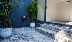 two potted plants sitting on the side of a set of steps next to a blue wall