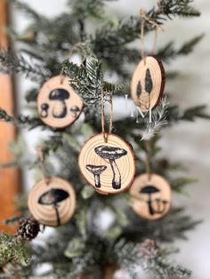 some wood slices are hanging from a christmas tree with mushrooms on them and pine needles