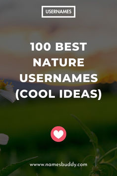 100 Best Nature Usernames Username Ideas For Nature Account, Earthy Instagram Usernames, Nature Photography Instagram Username, Earthy Username Ideas, Beautiful Username Ideas, Sunflower Username Ideas, Sunshine Username Ideas, Spiritual Usernames For Instagram