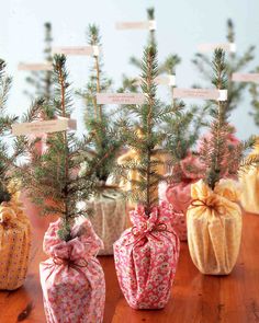 small christmas trees with bows and tags on them