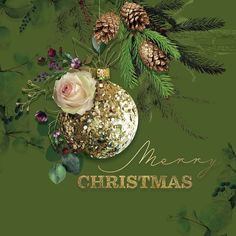 a merry christmas card with flowers and pine cones