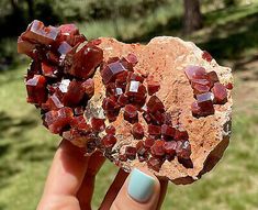 Vanadinite Large Bright Red Crystals On Matrix From Morocco   11.5 Cms  | eBay Crystal Growth, Skeletal, Red Crystals, Bright Red, Matrix, Morocco, Crystals, Red, Nature