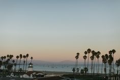 palm trees line the beach as the sun sets