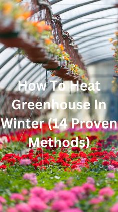 Discover 14 proven methods to heat your greenhouse in winter, ensuring your plants thrive despite the cold. From utilizing solar power to efficient insulation techniques, learn how to create a warm, sustainable environment. Embrace the winter season with confidence, knowing your greenhouse is protected. Find out how to heat your greenhouse in winter and keep your gardening dreams alive all year round with these expert tips and tricks. Greenhouse Landscape Ideas, Heated Greenhouse Winter, Winter Greenhouse Diy, How To Anchor A Greenhouse, Insulating Greenhouse For Winter, Greenhouse Growing In Winter, Greenhouse Insulation Ideas, How To Heat Greenhouse In Winter