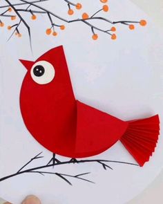 a red bird sitting on top of a tree branch next to a hand holding a piece of paper