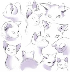 a bunch of cats that are drawn in pencil and ink with different angles to the face