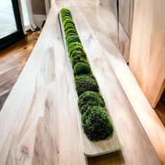 a long piece of wood with moss growing on it sitting on a wooden table in front of a window