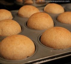 muffins in a pan ready to go into the oven