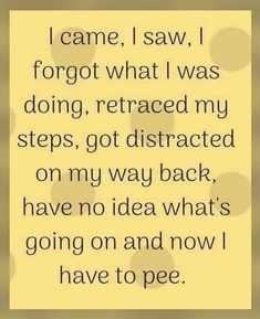 a quote that says i came, i saw forgot what i was doing, replaced my steps, got distracted on my way back, have no idea what's going on and now i have to pee