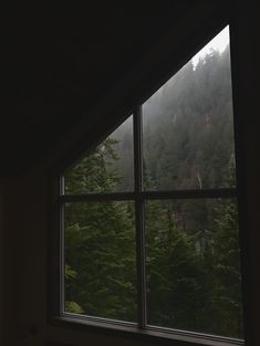 a window with trees outside and fog in the air from inside an upstairs room, looking out onto a forested area