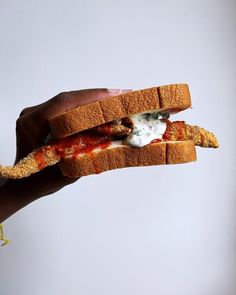 a hand holding a sandwich with meat, cheese and tomato sauce on it in front of a white background