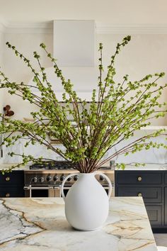 a white vase filled with green flowers on top of a counter next to an oven