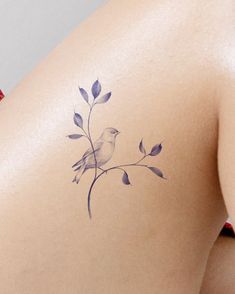 the back of a woman's shoulder with a small bird on it