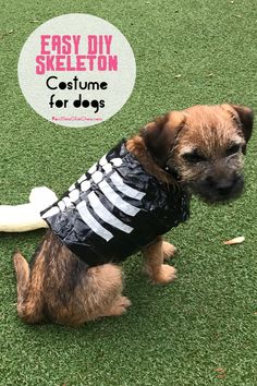 a small brown dog wearing a black and white skeleton shirt on top of green grass