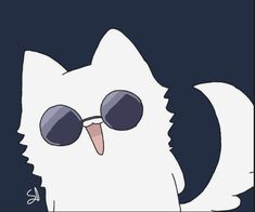 a white cat with sunglasses on it's face