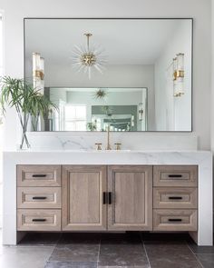 a bathroom vanity with a large mirror above it and a potted plant in the corner