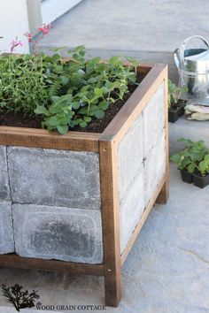 an outdoor planter with plants growing in it