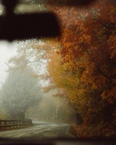 the view from inside a car looking at trees with yellow and red leaves