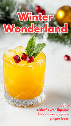 the cover of winter wonderland magazine features an orange drink with cranberry garnish