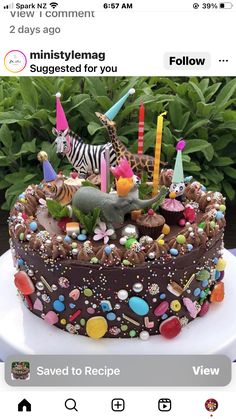 the cake is decorated with animals, candles and other decorations on it's side