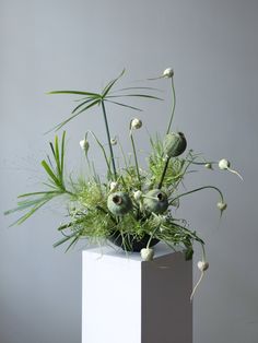 a white vase filled with lots of green plants