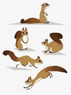 an image of squirrels in different positions