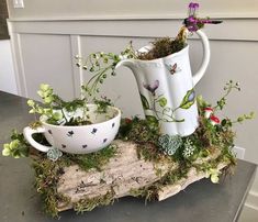 two mugs with plants in them sitting on a piece of wood