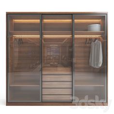 an image of a walk in closet with glass doors