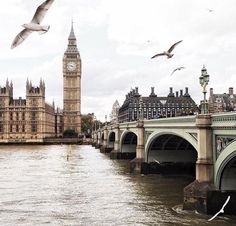 the birds are flying over the water by the bridge and clock tower in london, england