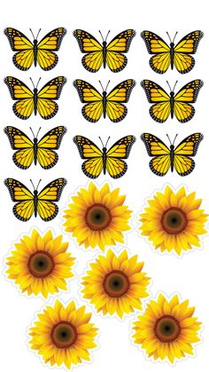 yellow butterflies and sunflowers with white background