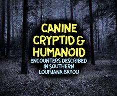 the title for canine crypt and humanoid encounters described in southern louisiana bayou