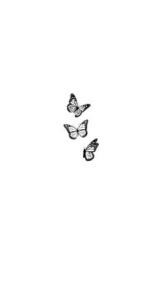 three butterflies flying in the air on a white background with black and white ink drawing