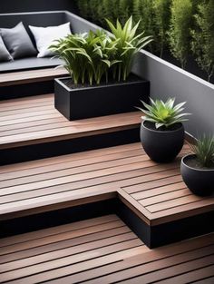 some plants are in black planters on the wooden decking area with benches and pillows