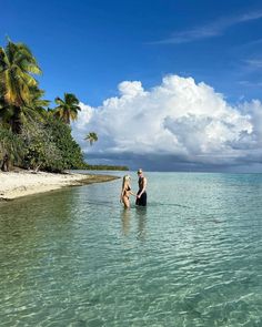 two people standing in the ocean near palm trees