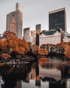 the city is full of tall buildings and trees with orange leaves on it's branches