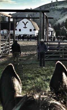 two horses standing in front of a barn with people walking around the gate and onlookers