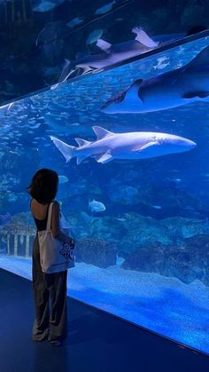 a person standing in front of an aquarium looking at sharks and other sea creatures on display