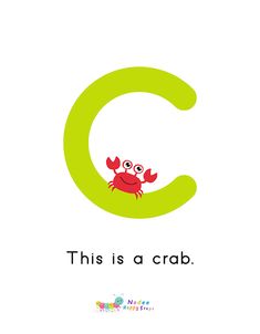 the letter c is for crab