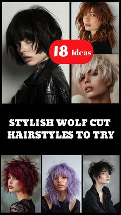 Discover the trendiest Wolf Cut hairstyles for those looking to add edge and style to their look. Explore our collection of 18+ Wolf Cut hairstyles that are perfect for anyone wanting a bold and chic hair transformation. Whether you're aiming for a daring new haircut or just want to switch up your current style, Wolf Cut hair is the way to go. Find inspiration and ideas on how to rock this edgy hairstyle with confidence. Wolf Haircut Styling, Styling Wolf Cut Short Hair, Styling A Wolf Cut, Style A Wolf Cut, Women’s Wolf Cut Haircut, Wolf Cut Hairstyles, Wolf Cut Hair, Edgy Hair Color, Platinum Blonde Pixie